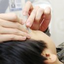 코끼리한의원 이미지