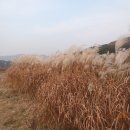 무돌길쉼터 이미지