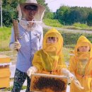 신비농장 이미지