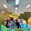 용인대 코리아 태권도 이미지