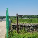 송당송당 이미지