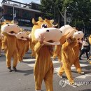 횡성축산물 이미지