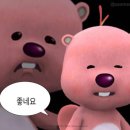 그라토 이미지
