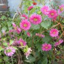 기로사경로당 이미지