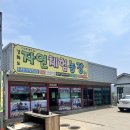 강화농장 | 강화도 ATV 후기_강화자연체험농장 ATV, 승마, 갯벌체험