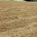 태양팜스 이미지