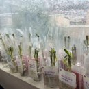 자성대노인복지관 이미지