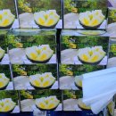 늘그린주유소 이미지