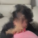 뉴스타포토 | 3월 17일 VVV 로 컴백했습니다 저말고 더보이즈가