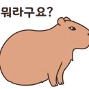 step 복싱 이미지