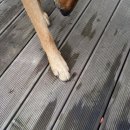 영특 이미지