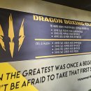 드래곤 복싱클럽 이미지