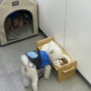 지에스25(GS25)보령분수광장점 이미지