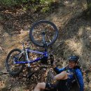 대청호 관광을 가려다가... 개척질이 왠말이냐 ㅠㅠ 이미지