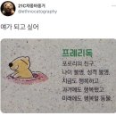 완도읍-13 | 생존