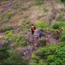 5월 3일 정기산행 공지 수정 - 안내산악회 연계 - 신청인원 마감. 이미지