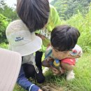 풀잎속의생명 | 우리들 자연학교 7월 1주 차 일요일 주말 숲학교 계란꽃샘반 수업 후기