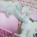 폴리파크 반송점 이미지