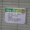 석주파크 | 안동의 새로운 핫플 안동수상레져 웨이블리 워터파크