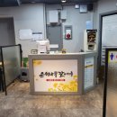 안산갈매기