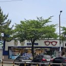 한양안경 콘택트 이미지