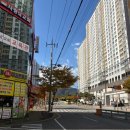 세종시지방자치회관건너편 | [251102-03]울산 임장 1- 울산 정리와 울주군 범서읍/남구 무거동