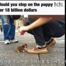 감성차이 이미지