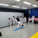 월드타이거즈 이미지