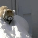 명동PC게임 이미지