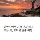 새해의 빛이 떠오르는 곳: 포항 호미곶 일출 여행 후기 &amp; 촬영 팁