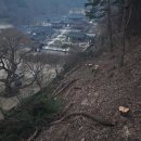 도산 이미지