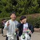 현대태권도화곡