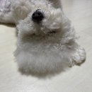 우리집첫째 양산점 이미지