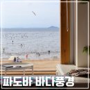 파도바 바다풍경 이미지