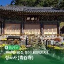 진주 청곡사 괘불함 | 진주청곡사 (靑谷寺) 천하명당의 절, 학이 내려앉은 자리 | SNS 서포터즈