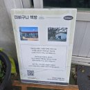 금장해수욕장 | 고흥 무인책방 더바구니책방 거금도 책방 금장해수욕장 책방 방문후기