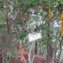 250927_[통영] 용초도 이미지