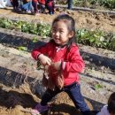 삼천남초병설유치원 이미지