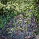 영월약수터 캠핑장 이미지