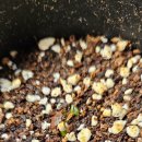 석일농장 이미지