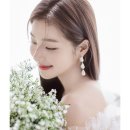 (주)큰나무 이미지