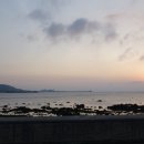 조천연대 이미지