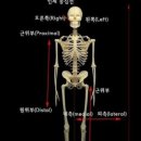 윈헬스 이미지