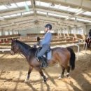 산청승마장 이미지