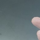 위너스메드 이미지