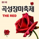 곡성읍 읍내2구 마을회관 | 곡성장미축제 기간 맛집 입장료 총정리