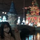 둥글원 이미지