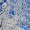 2월11일(토) 계방산 눈꽃천지 소풍같은 산행/하루시작 이미지