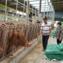 만희농장 이미지