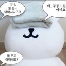 원주 무실동 라임헤어 미용실 여자 중단발 셋팅펌 후기(영업시간/가격 등)